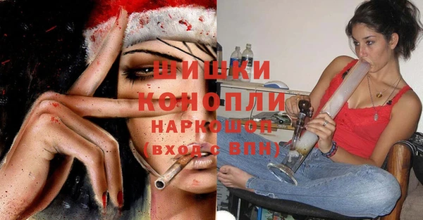 шишки Нея