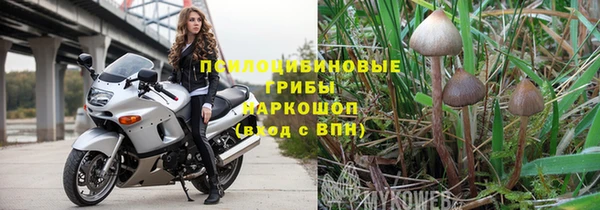 каннабис Арсеньев