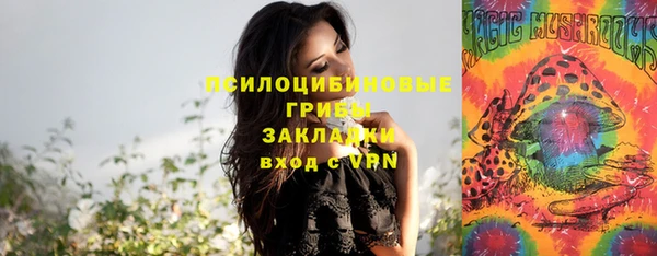 молекула духа Армянск