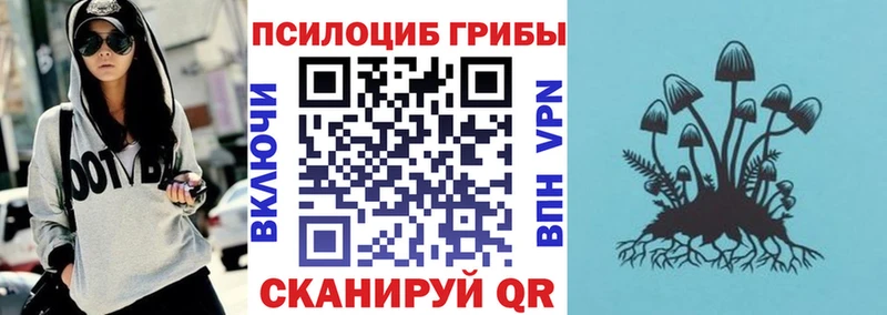 Галлюциногенные грибы Cubensis  Пудож 